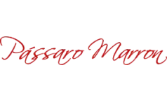 imgi_18_criacao-site-profissional10